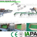 horizontal carton wrapping machine, automatic cartoning machine